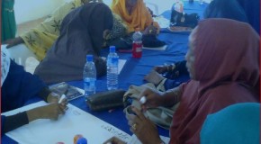STREGTHENING RELATION BETWEEN SOMALI POLITICAIN WOMEN AND ACTIVIST WOMEN TO PROMOTE SOMALI WOMEN’S AGENDA