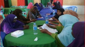 MATERIALIZING THE MINIMUN 30% OF SOMALIA WOMEN’S QUOTA IN THE NATIONAL GOVERNMENT