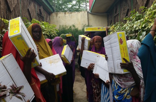 HINNA distributed Date packages for 150 HH in Daynile district