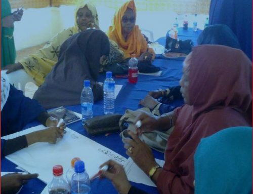 STREGTHENING RELATION BETWEEN SOMALI POLITICAIN WOMEN AND ACTIVIST WOMEN TO PROMOTE SOMALI WOMEN’S AGENDA